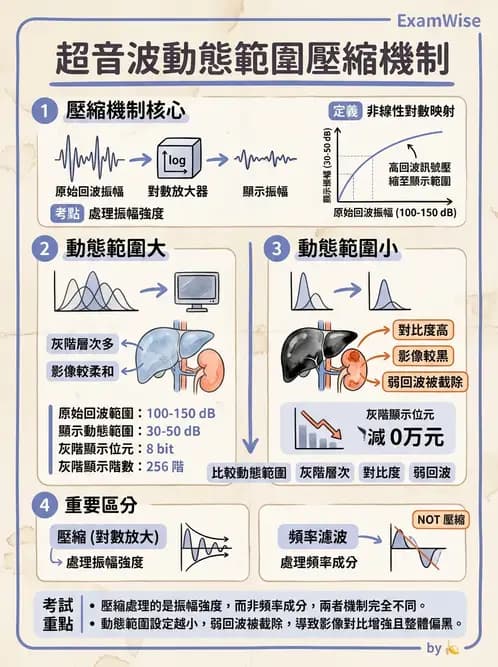 放射 - 超音波成像與都卜勒 - AI 圖文解析預覽