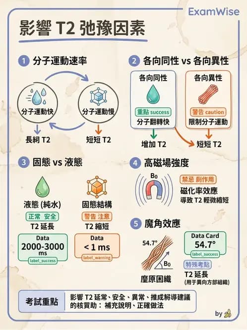 放射 - MRI基本物理與弛緩 - AI 圖文解析預覽