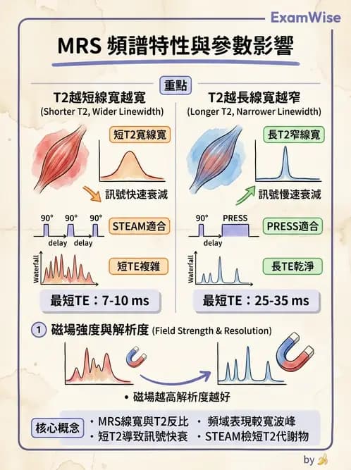 放射 - 脈衝序列與影像對比 - AI 圖文解析預覽