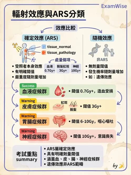 放射 - 全身性輻射效應 - AI 圖文解析預覽