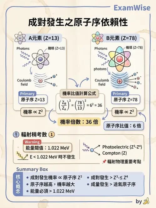 放射 - 光子作用機制 - AI 圖文解析預覽