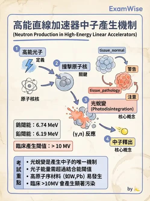 放射 - 光子作用機制 - AI 圖文解析預覽