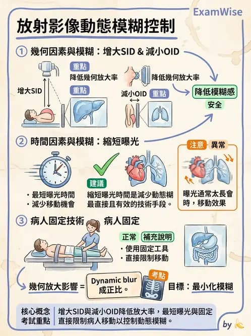 放射 - X光成像系統與影像品質 - AI 圖文解析預覽