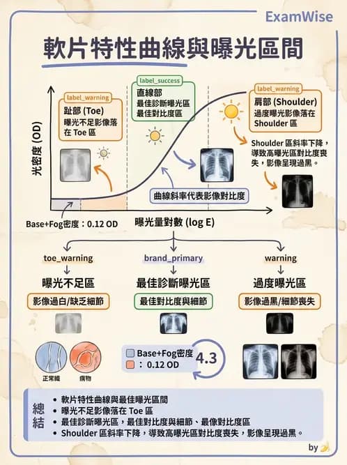 放射 - X光成像系統與影像品質 - AI 圖文解析預覽