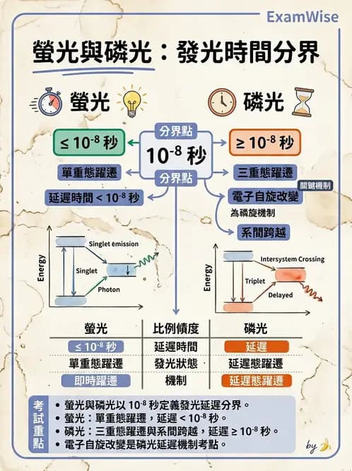放射 - X光成像系統與影像品質 - AI 圖文解析預覽