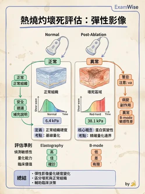 放射 - 超音波進階成像與假影 - AI 圖文解析預覽