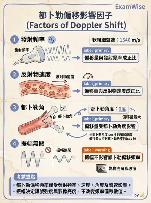 放射 - 都普勒超音波 - AI 圖文解析預覽