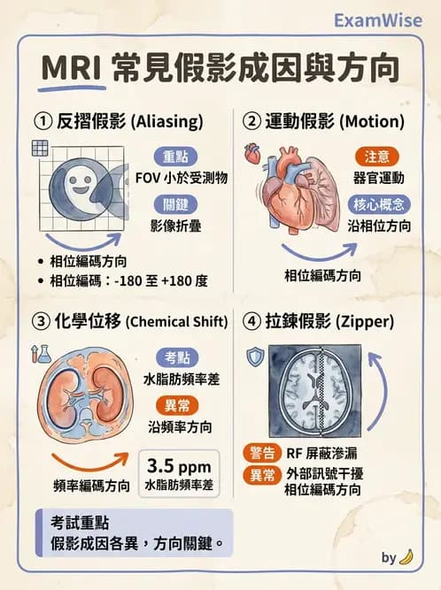 放射 - 梯度線圈與空間編碼 - AI 圖文解析預覽