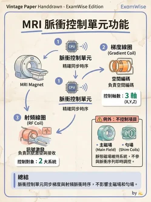 放射 - 射頻系統與線圈 - AI 圖文解析預覽