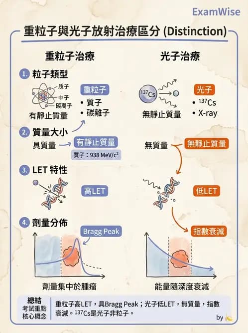 放射 - 質子及中子治療機 - AI 圖文解析預覽