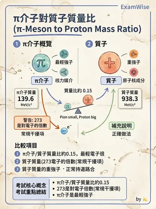 放射 - 質子及中子治療機 - AI 圖文解析預覽