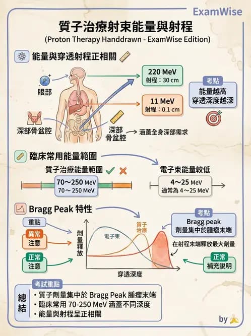 放射 - 質子及中子治療機 - AI 圖文解析預覽