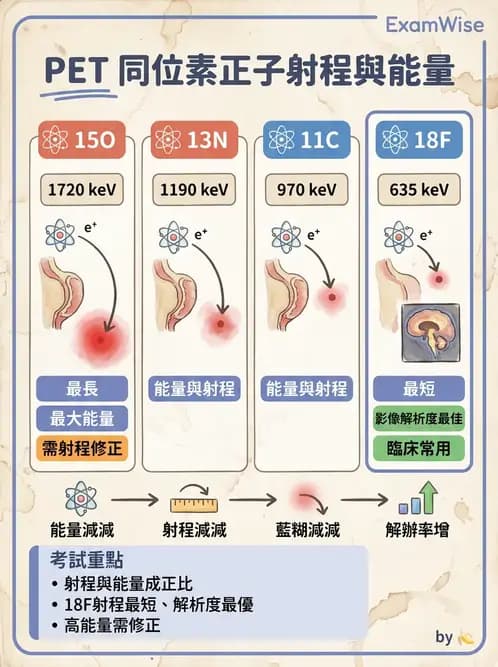 放射 - PET核種與儀器偵測原理 - AI 圖文解析預覽