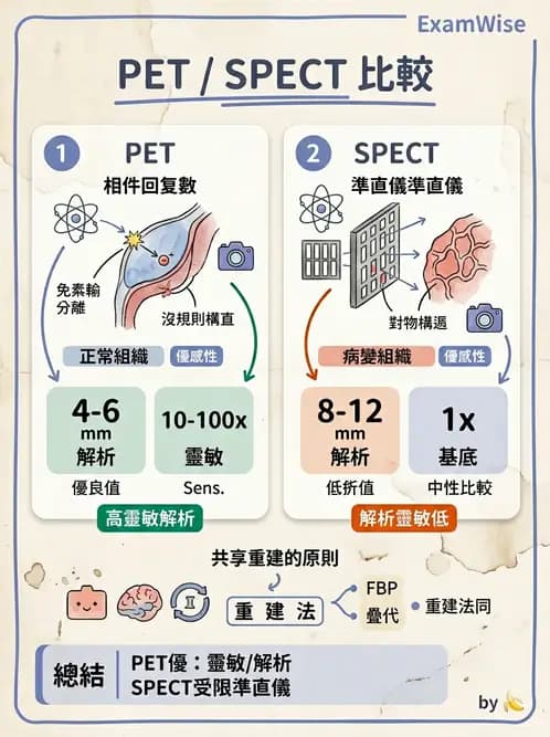 放射 - PET校正、影像重建與臨床操作 - AI 圖文解析預覽