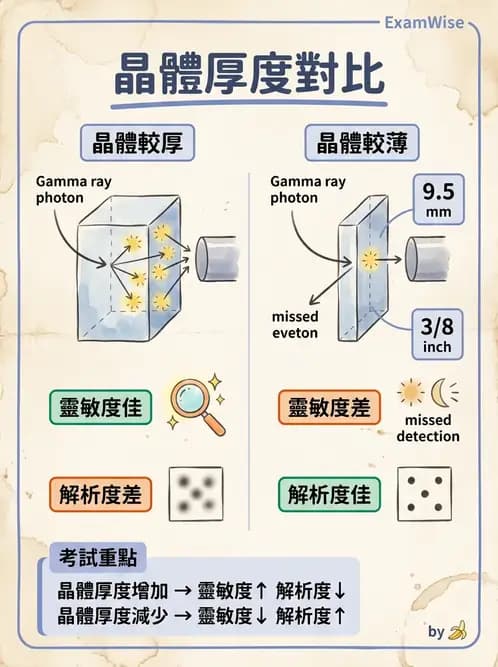 平面影像 - 影像儀器設備 - AI 圖文解析預覽
