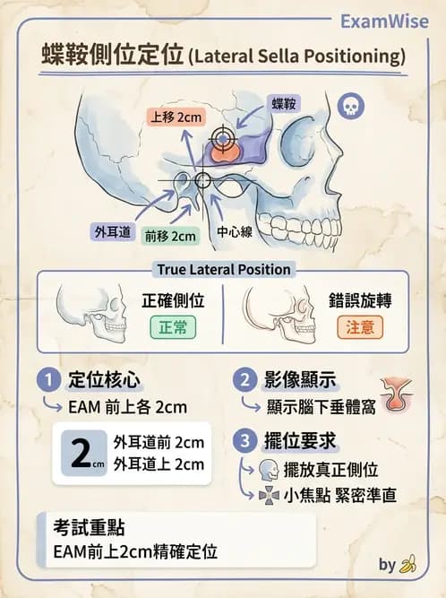 放射 - 頭頸脊椎攝影技術 - AI 圖文解析預覽