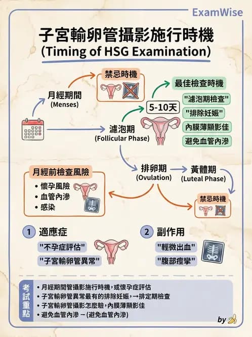 放射 - 泌尿生殖攝影 - AI 圖文解析預覽