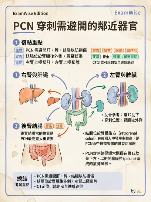 放射 - 導管技術與介入性治療 - AI 圖文解析預覽