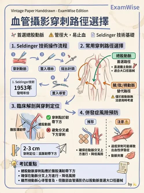 放射 - 導管技術與介入性治療 - AI 圖文解析預覽