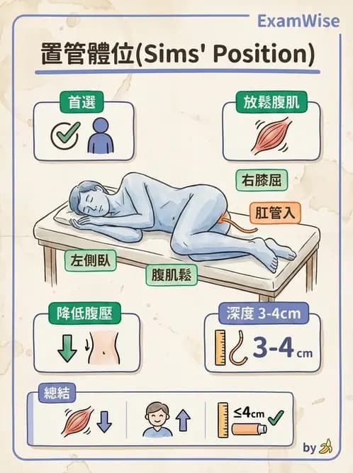 放射 - 消化道造影 - AI 圖文解析預覽