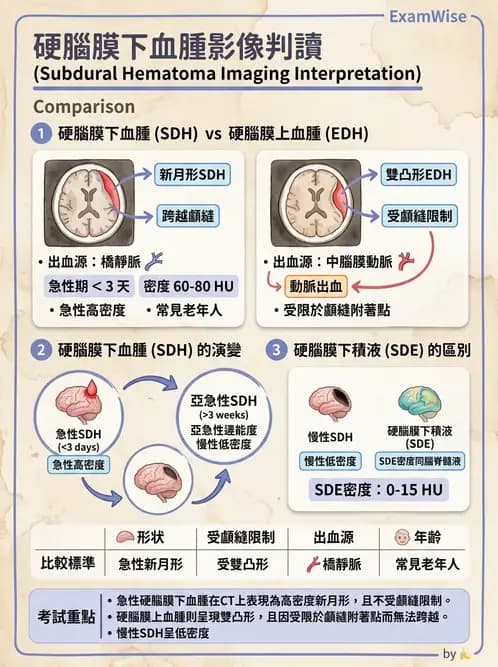 放射 - 頭頸部CT診斷 - AI 圖文解析預覽