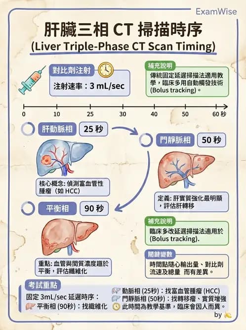放射 - CTA與CT影像技術應用 - AI 圖文解析預覽