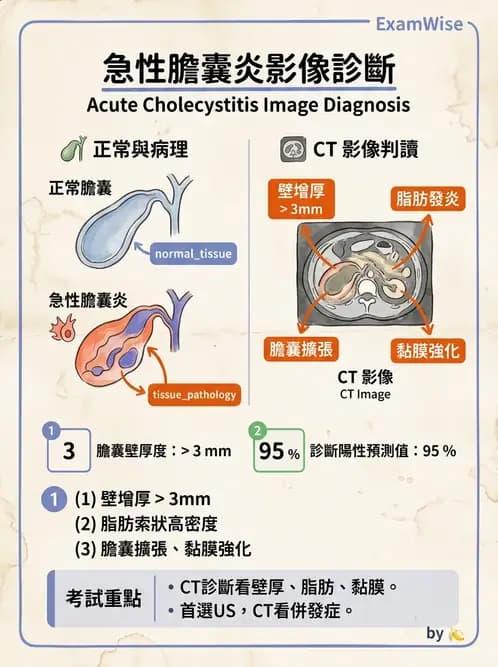 放射 - 胸腹部CT診斷 - AI 圖文解析預覽