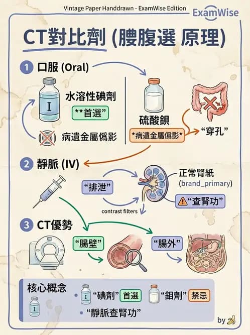 放射 - 胸腹部CT診斷 - AI 圖文解析預覽