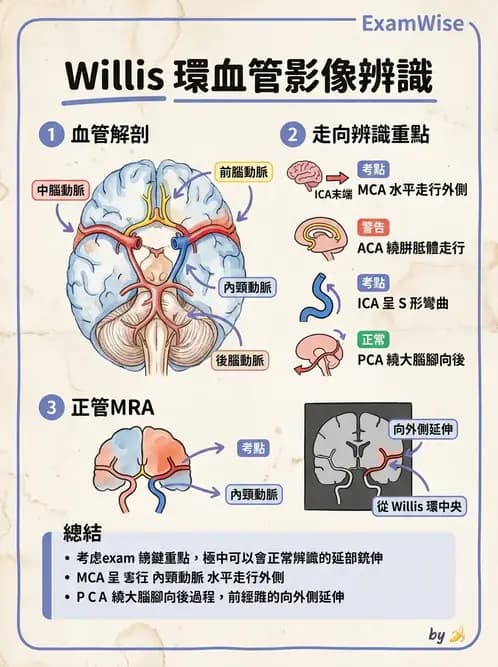 放射 - MR進階影像與臨床應用 - AI 圖文解析預覽