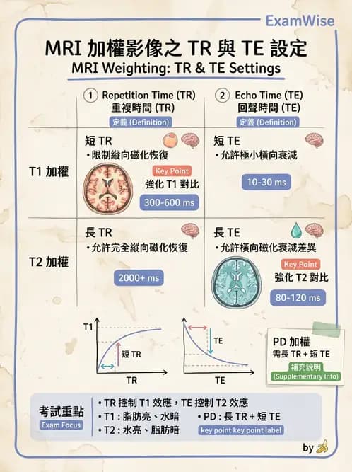放射 - 磁振造影原理 - AI 圖文解析預覽