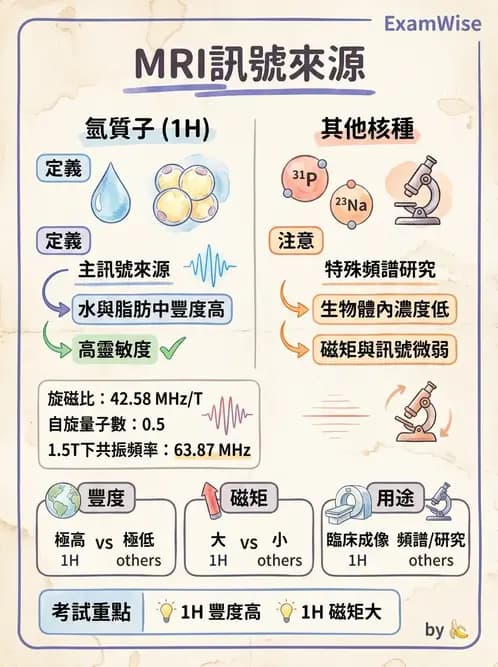 放射 - 磁振造影原理 - AI 圖文解析預覽