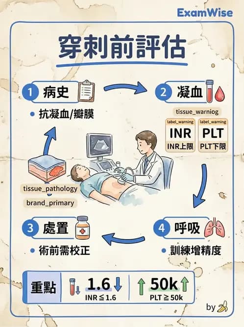放射 - 泌尿生殖與小器官超音波 - AI 圖文解析預覽