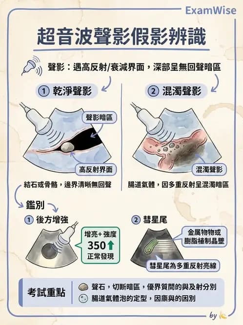 放射 - 超音波物理與技術 - AI 圖文解析預覽