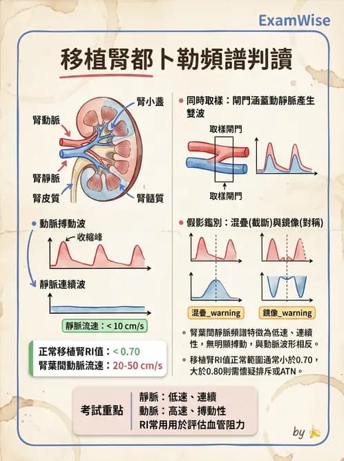放射 - 腎臟血管與其他超音波 - AI 圖文解析預覽