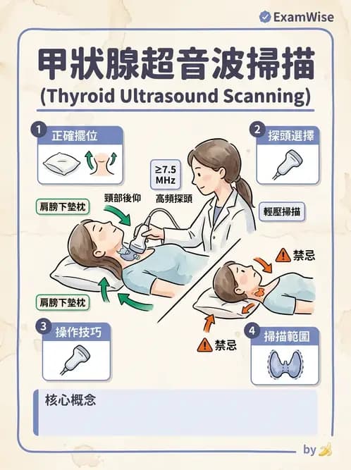 放射 - 泌尿生殖與小器官超音波 - AI 圖文解析預覽