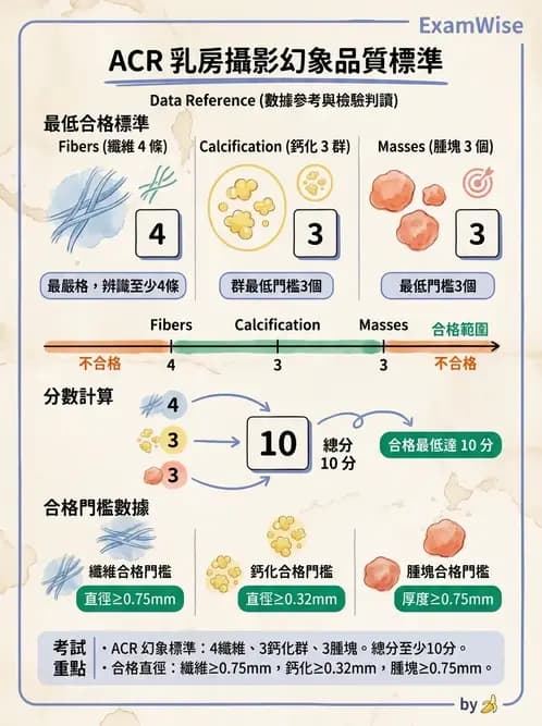放射 - 乳房攝影與其他特殊檢查 - AI 圖文解析預覽