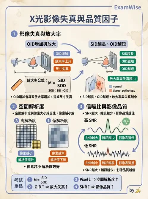 放射 - X光交互作用與影像品質 - AI 圖文解析預覽