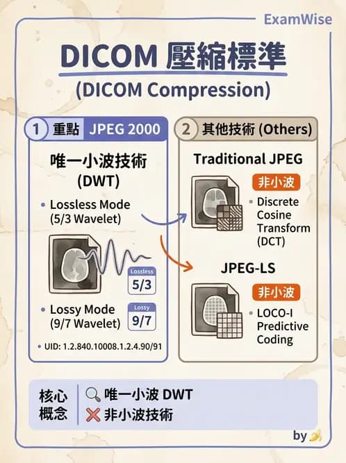 放射 - PACS、DICOM與遠距醫學 - AI 圖文解析預覽