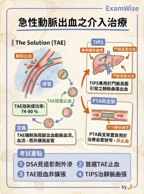 放射 - 導管技術與介入性治療 - AI 圖文解析預覽