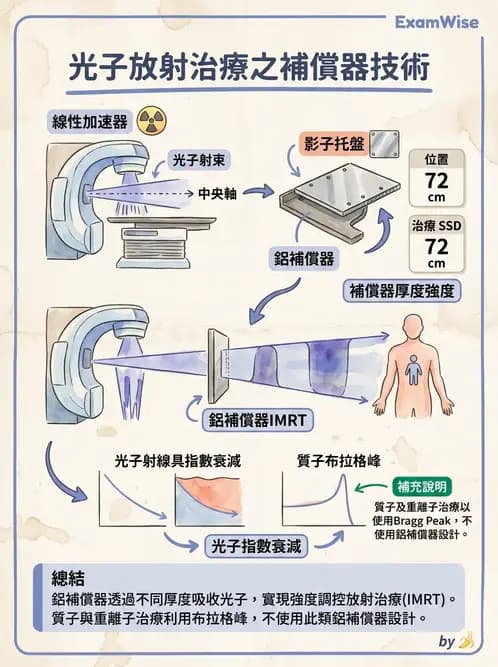放射 - 質子與粒子治療 - AI 圖文解析預覽