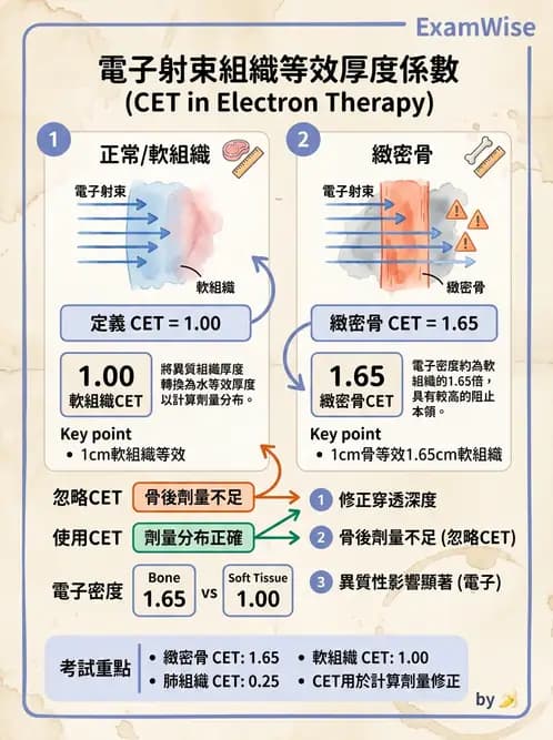 放射 - 電子射束物理特性與劑量分布 - AI 圖文解析預覽