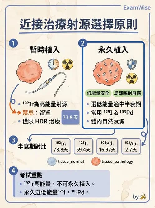 放射 - 插種近接治療 - AI 圖文解析預覽