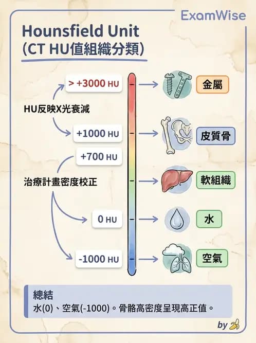 放射 - CT模擬攝影技術、流程與影像特性 - AI 圖文解析預覽