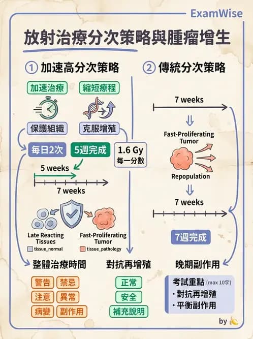 放射 - 時間劑量分次效應 - AI 圖文解析預覽