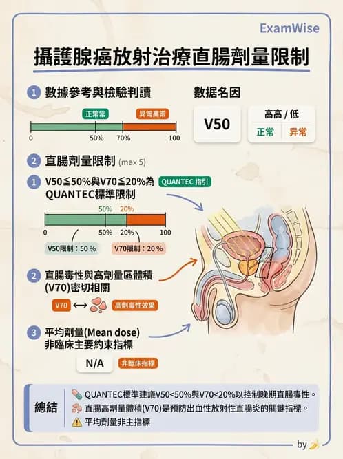 放射 - 疾病部位計畫與危急器官保護 - AI 圖文解析預覽