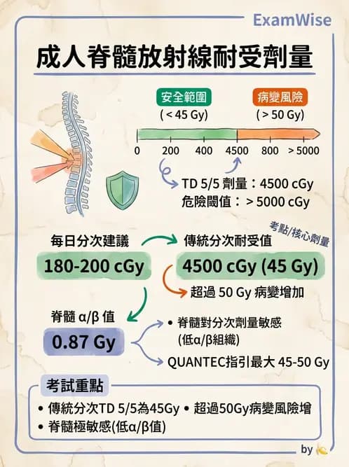 放射 - 疾病部位計畫與危急器官保護 - AI 圖文解析預覽