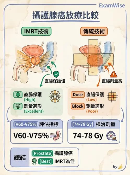 放射 - 疾病部位計畫與危急器官保護 - AI 圖文解析預覽