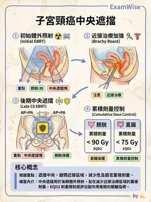 放射 - 疾病部位計畫與危急器官保護 - AI 圖文解析預覽