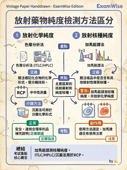 放射 - 肺肝膽與製劑通則 - AI 圖文解析預覽