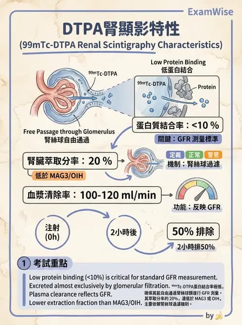 放射 - 腎臟造影SPECT藥物 - AI 圖文解析預覽